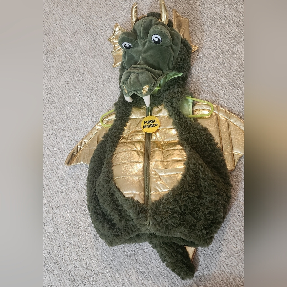 Ministry of Rascals costume  Magic Dragon 12 months